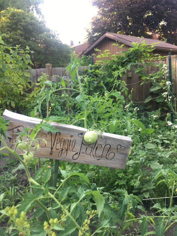 5C9EE6A0-3C8C-40F9-8BB5-52CE46F61CAE